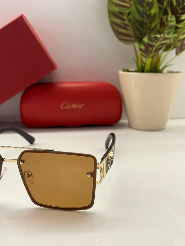 Branded Ctier Gold Brown Sunglasses EW (With Original Kit)